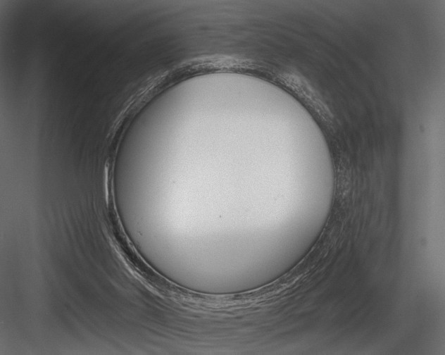 X0000084600014200702231048
