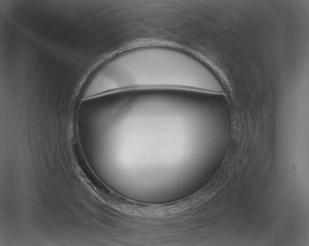 X0000084600015200702231048