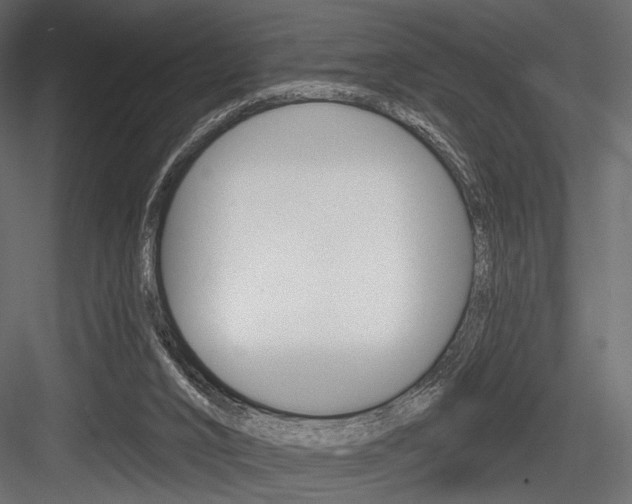 X0000084600016200702231048