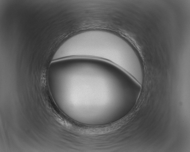 X0000084600017200702231048