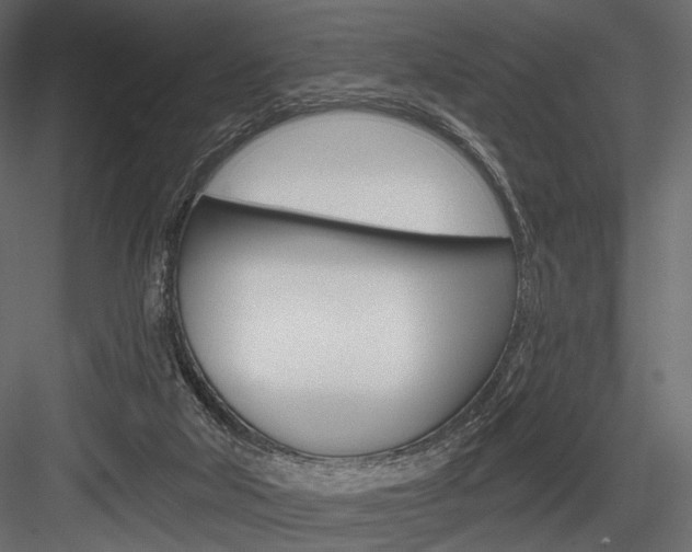 X0000084600018200702231048
