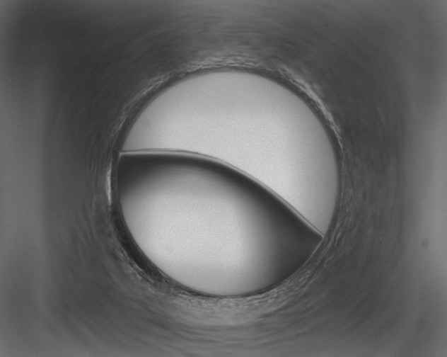 X0000084600019200702231048