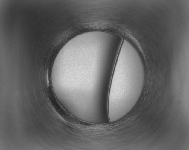 X0000084600020200702231048