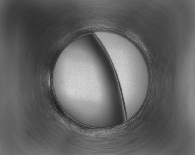 X0000084600021200702231048