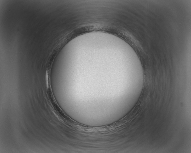 X0000084600022200702231048