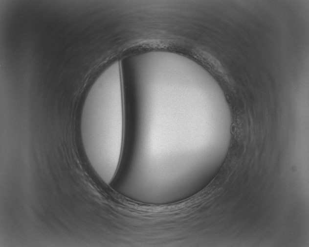 X0000084600023200702231048