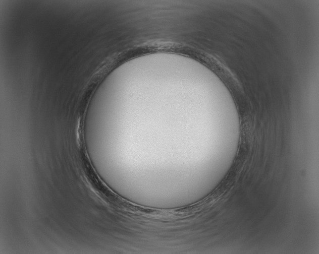 X0000084600024200702231048