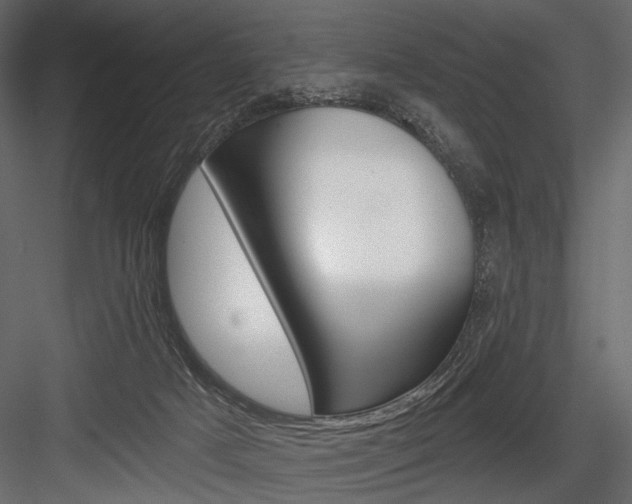 X0000084600025200702231048