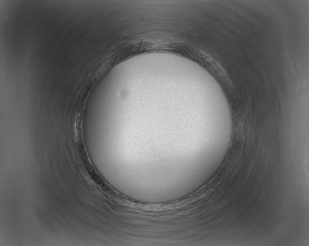 X0000084600026200702231048