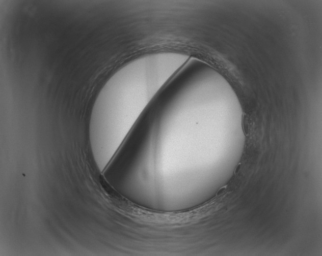 X0000084600027200702231048