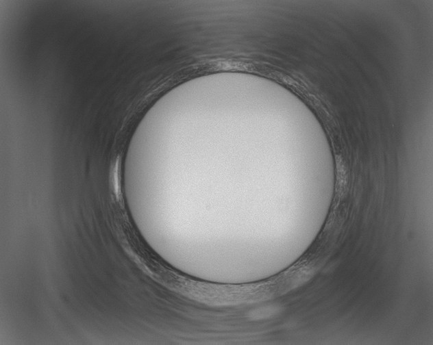 X0000084600028200702231048