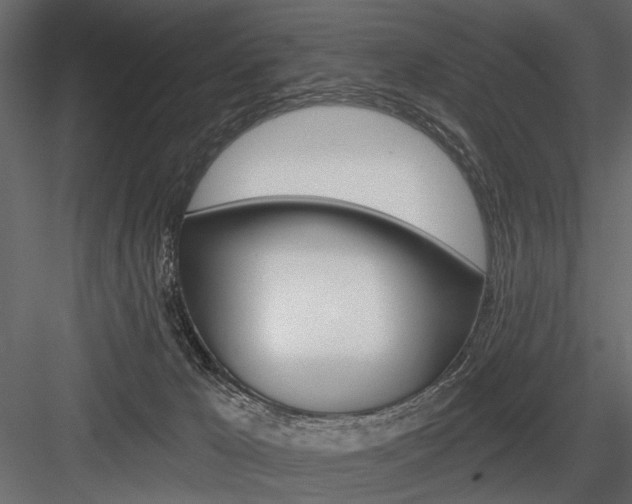 X0000084600029200702231048