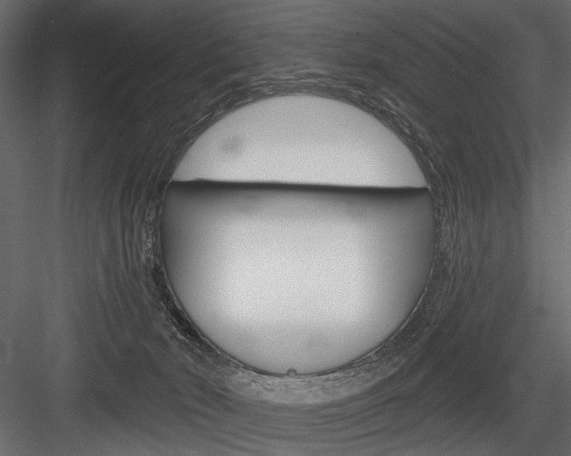 X0000084600030200702231048