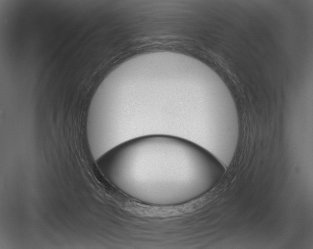 X0000084600031200702231048