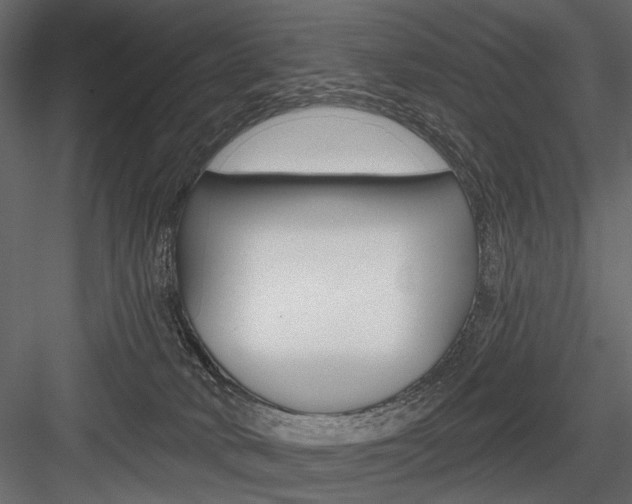 X0000084600034200702231048