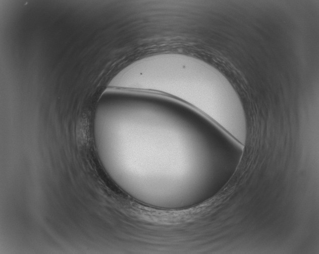 X0000084600035200702231048