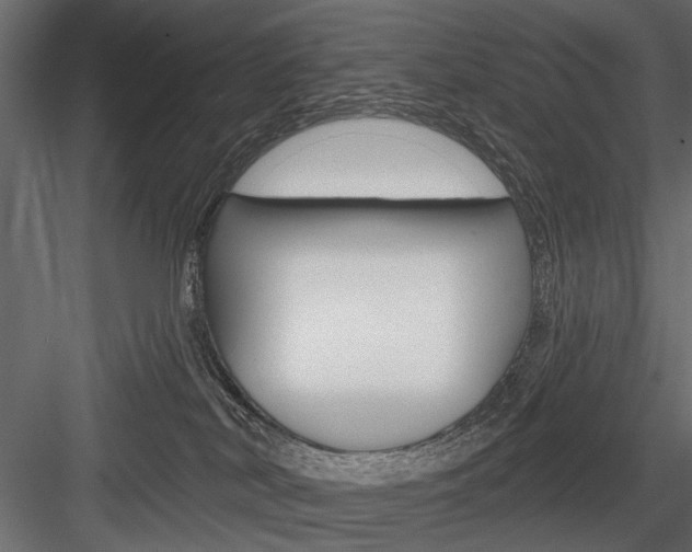 X0000084600038200702231048