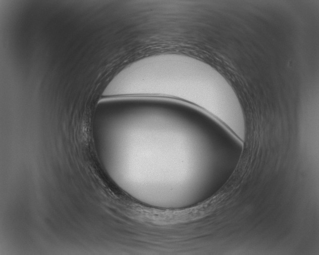 X0000084600039200702231048