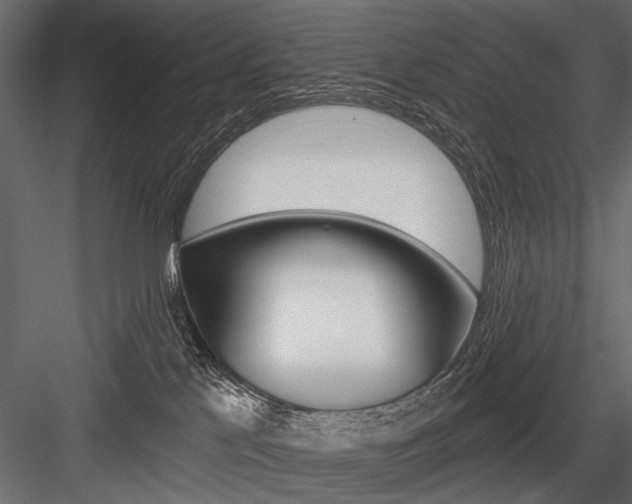 X0000084600041200702231048