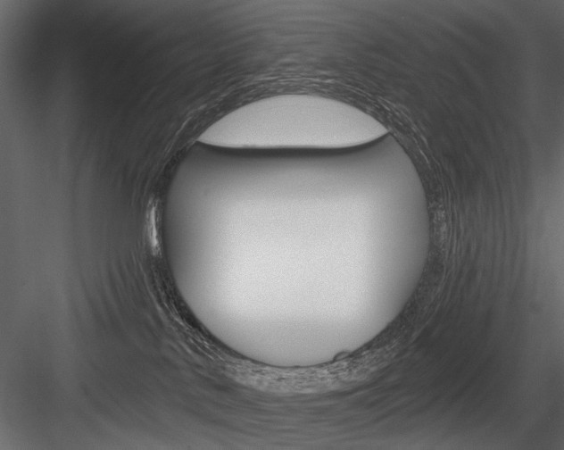 X0000084600042200702231048