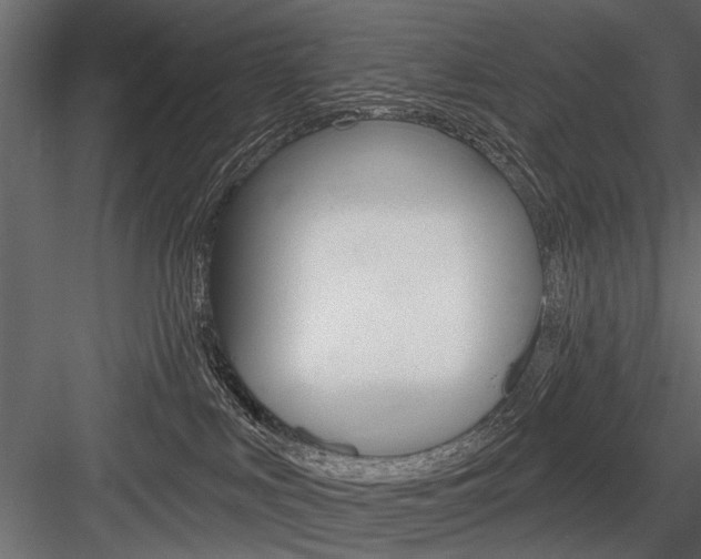 X0000084600043200702231048