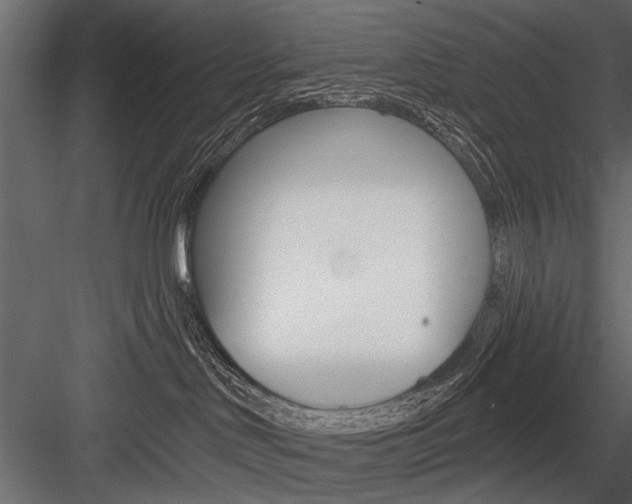 X0000084600046200702231048