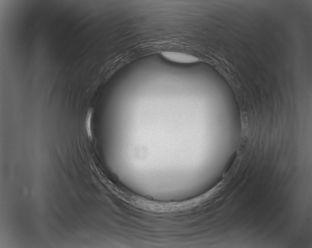 X0000084600047200702231048