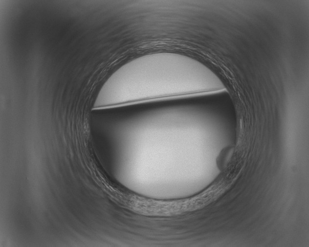 X0000084600048200702231048
