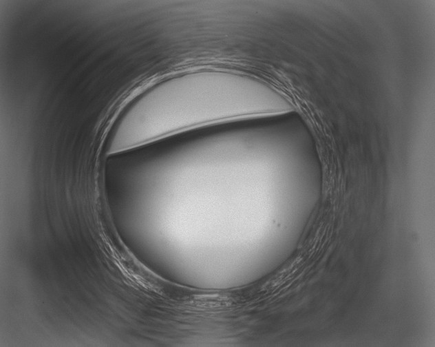 X0000084600050200702231047