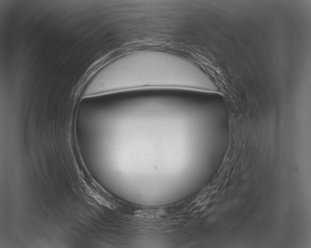 X0000084600051200702231047