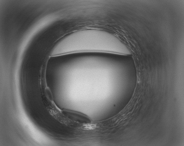 X0000084600052200702231047