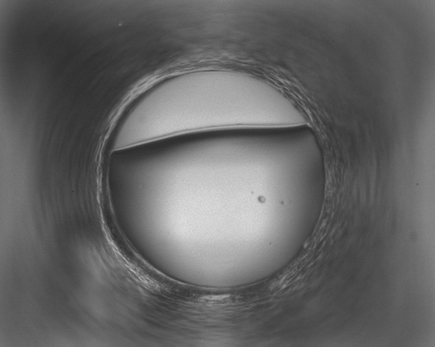 X0000084600054200702231047