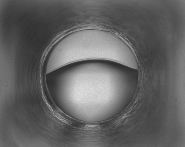 X0000084600055200702231047