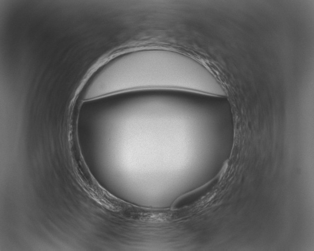 X0000084600056200702231047