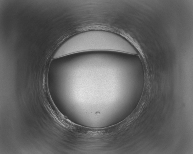 X0000084600057200702231047