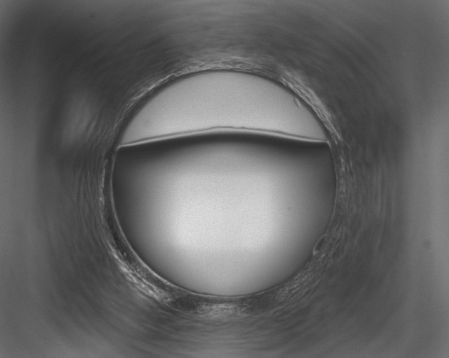 X0000084600058200702231047