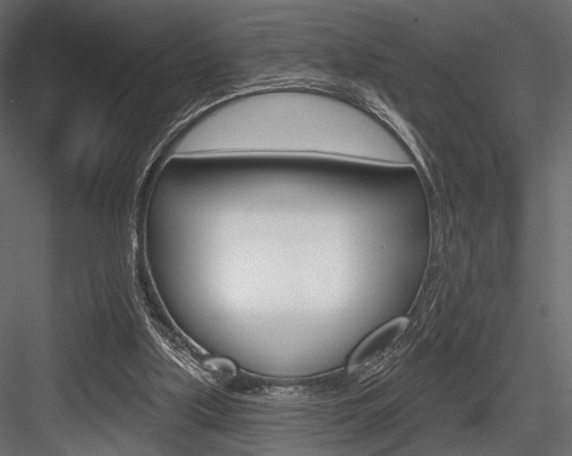 X0000084600059200702231047