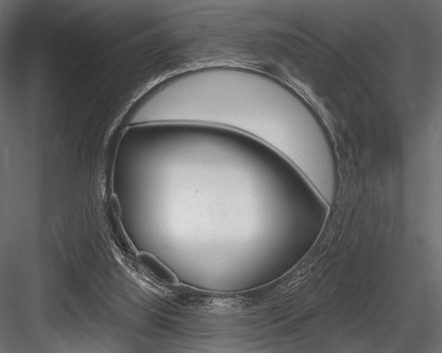 X0000084600060200702231047