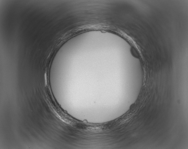 X0000084600061200702231047