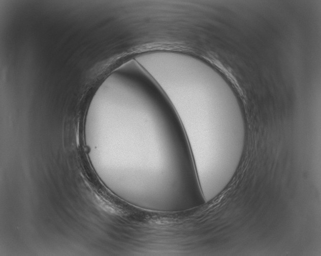 X0000084600062200702231047
