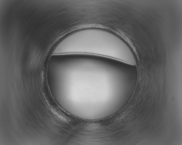 X0000084600063200702231047
