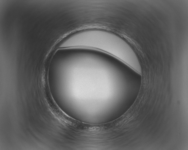 X0000084600064200702231047