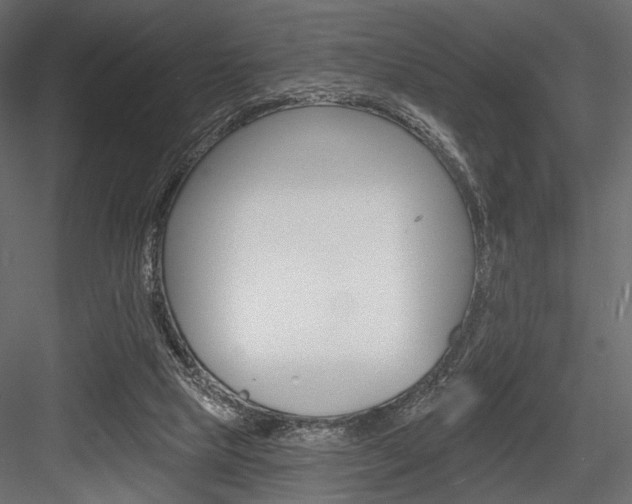 X0000084600065200702231047