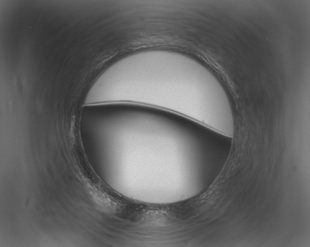 X0000084600066200702231047