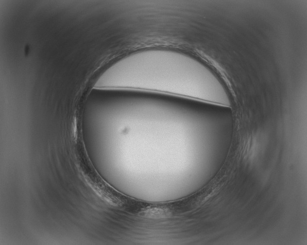 X0000084600067200702231047
