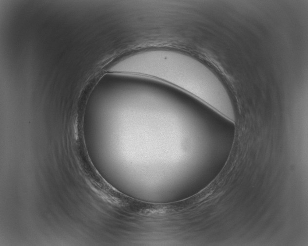 X0000084600068200702231047