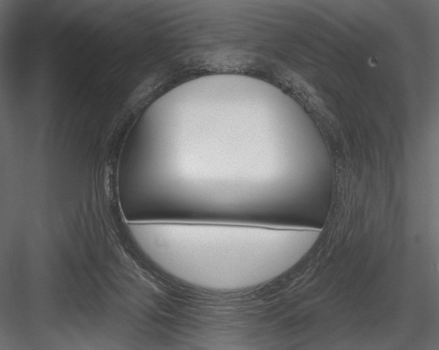 X0000084600071200702231047