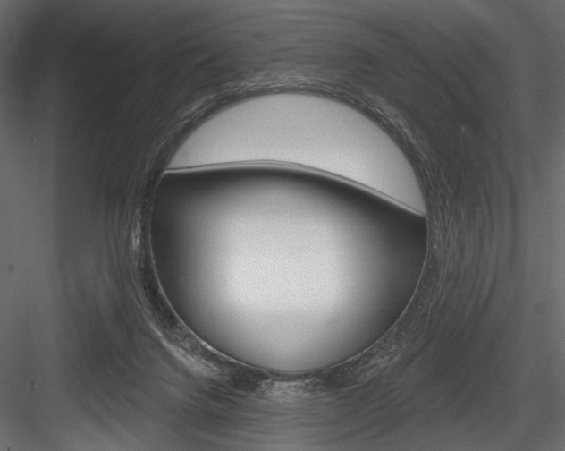 X0000084600072200702231047