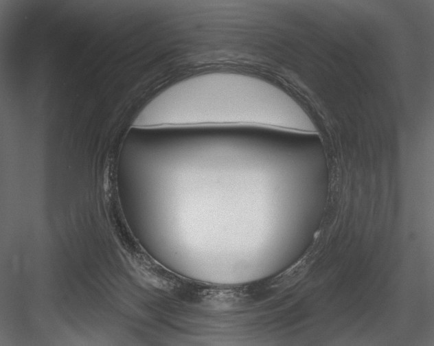 X0000084600074200702231047