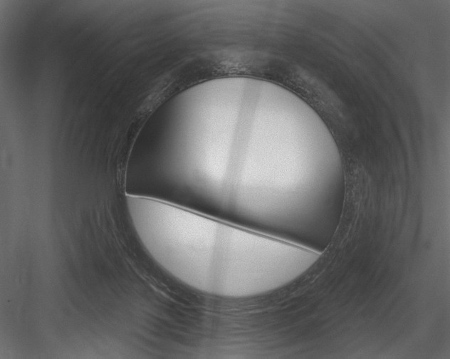 X0000084600075200702231047